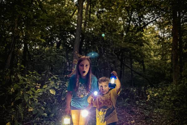 Halloween Hike at Dixon’s Lowell Park set for Oct. 24