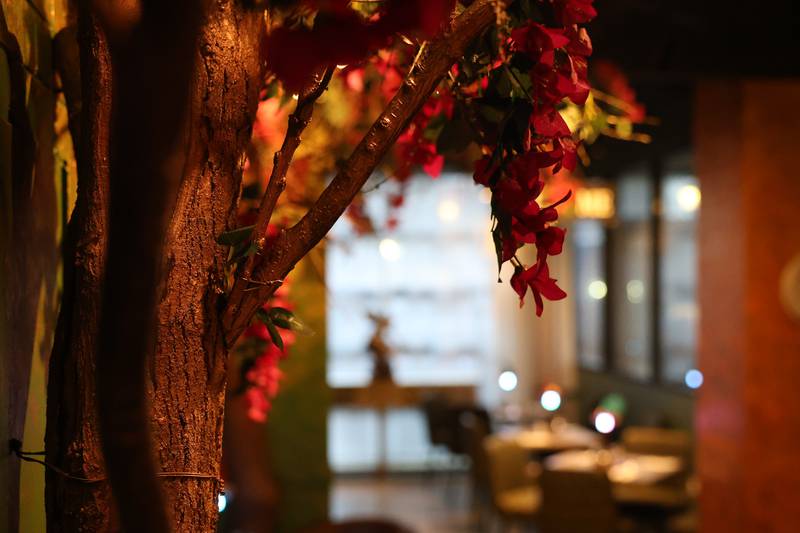 Wood from the Joliet area is used for the decor at Casa Catrina during their soft opening on Thursday, Feb. 19, 2026 in Joliet.