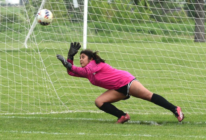 Oregon goalkeeper Mili Zavala dives for the ball during action at the 1A Oregon Regional on Tuesday, May 14, 2024. Oregon won the game 4-1, advancing to the Shabbona (Indian Creek) Sectional on Saturday, May 18 where the Hawks will face Stillman Valley in a noon game.