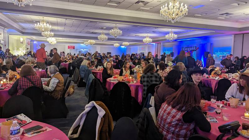 Shorewood HUGS hosted its 14th chocolate ball on Saturday night at Posh Banquets & Event Center in Joliet to raise money for its “Hugs and Wishes” program. Since its inception in 2008, Shorewood HUGS has fulfilled 1,300 wishes and given back $1 million to the community.