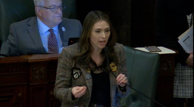 State Rep. Margaret Croke, D-Chicago, speaks in favor of a bill on the House floor Tuesday stating that each parent in a pregnancy “has a duty” to split pregnancy-related costs