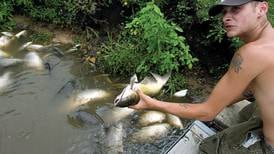 A look back: 2009′s Rock River fish kill