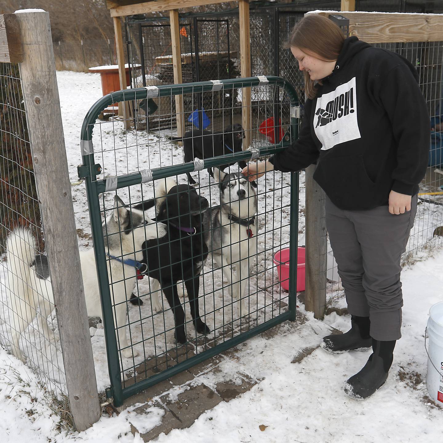 Hanna Kowal visits with her team of sled dogs on Tuesday, Dec. 20, 2022, at her home near Hebron. Kowal trains and races sled dogs while also working and going to college.