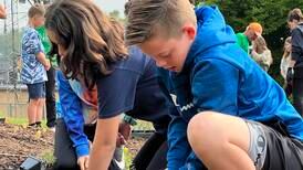 Native garden at Landmark School set to become outdoor classroom, teaching students about pollinators