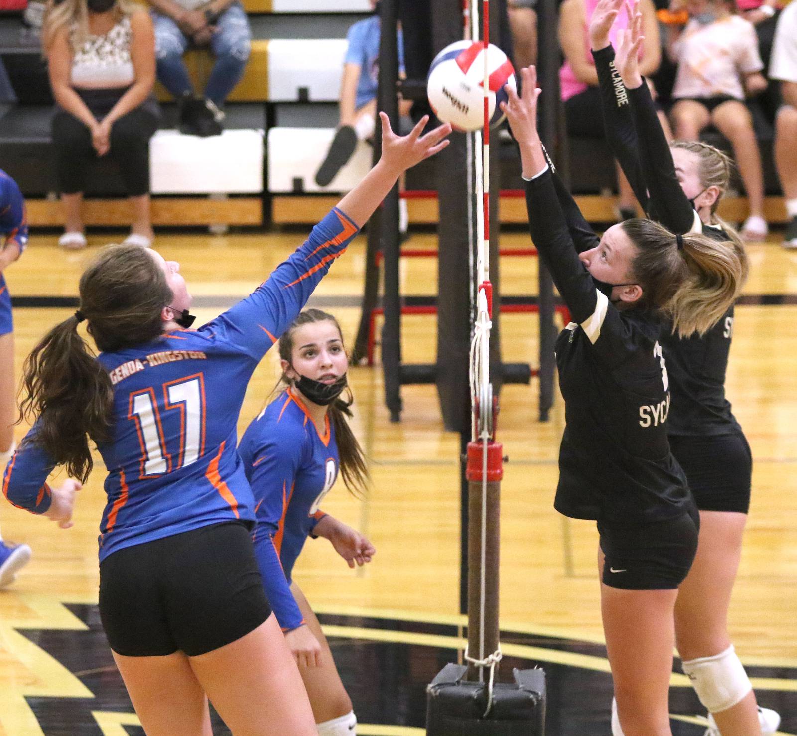 Photos GenoaKingston volleyball travels to Sycamore for match Shaw