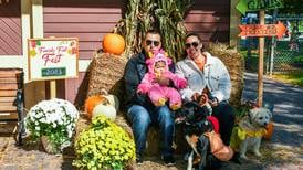 Photos: Family Fall Fest in Elmhurst