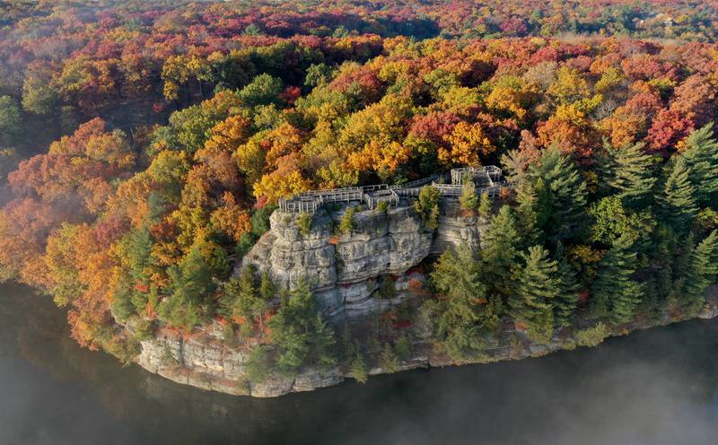 Trees begin to reach their peak over Eagle Cliff on Thursday, Oct. 24, 2024 at Starved Rock State Park.