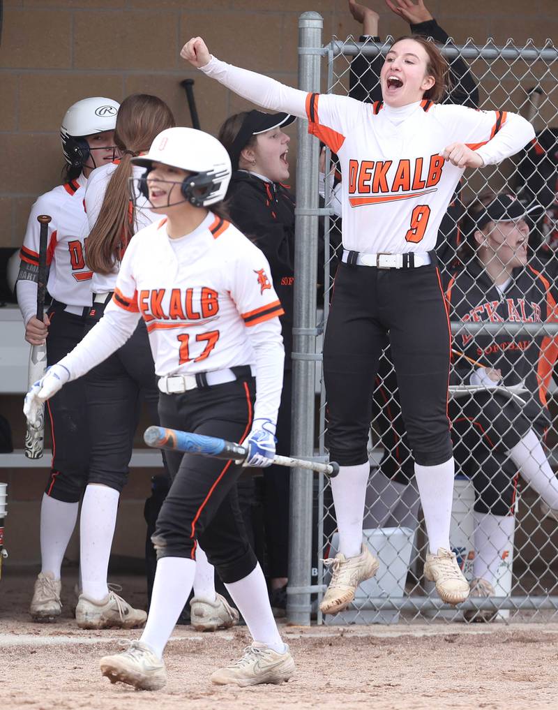 The DeKalb bench celebrates as the first run of the season crosses the plate during their game against Rockford Auburn Wednesday, March 15, 2023, at DeKalb High School.