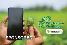 April’s Annual BioBlitz with the Sycamore Park District