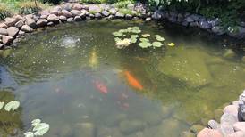 St. Charles garden center hosting weekend self-guided garden tours