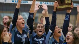 Alex Barcenas, Downers Grove South outlast Downers Grove North for sectional title