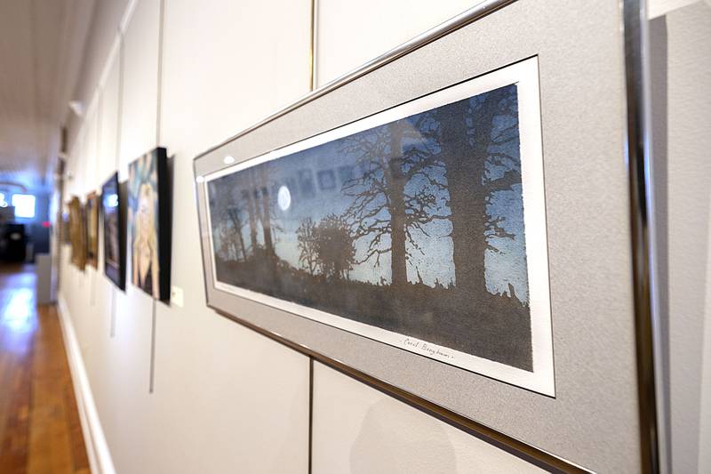 The 21st Regional Survey of Art is going up at The Next Picture Show Friday, Jan. 9, 2026, in Dixon. Opening for the show will be Jan. 16. Up next is the floral show, Blooming Fusion.