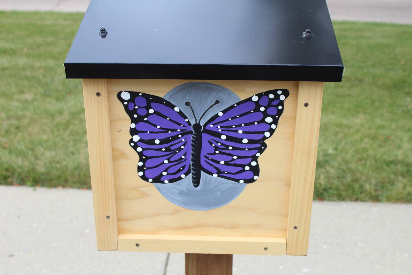 Encore Memory Care resident and former District 300 art teacher Terry Young hand-painted a purple butterfly on the memory care facility's little free library.