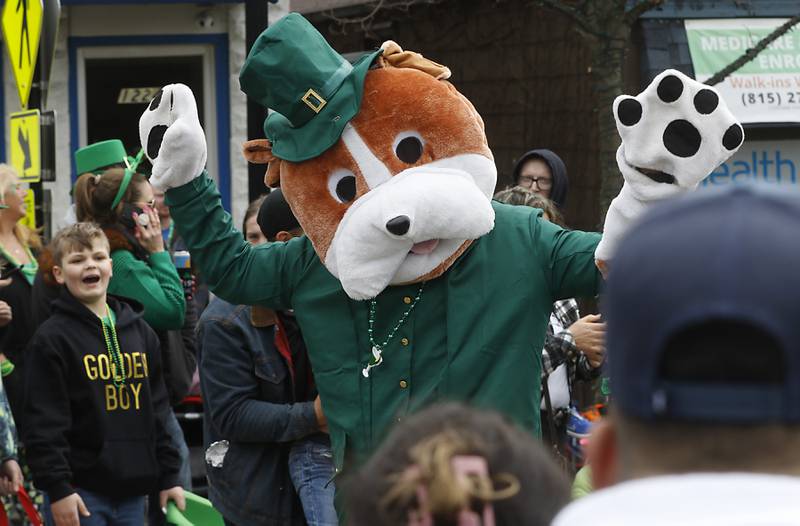 ShamROCKS the Fox has one of its biggest years yet Shaw Local
