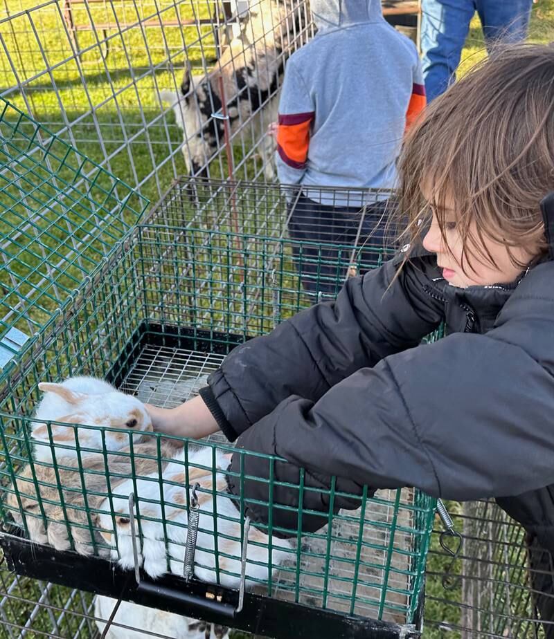 Photos Families have fun at Walk Tiskilwa Shaw Local