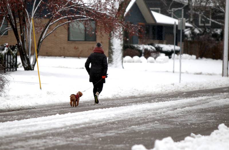 A woman walks with her dog on a St. Charles street after an overnight snowfall on Tuesday, Jan. 9, 2024.