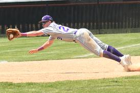 2026 Daily Journal baseball capsules