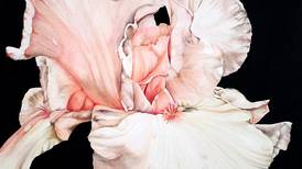 Blue Moon Gallery launches new art season