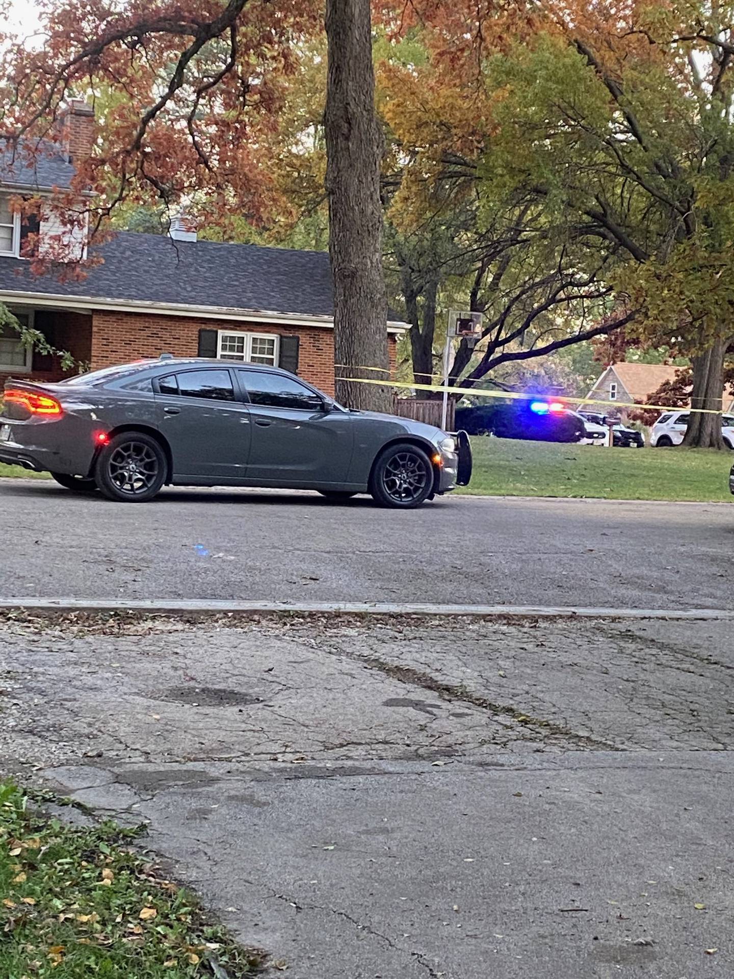 The Will County Sheriff's Office blocked off Middletree Road after deputies gunned down a man as he stabbed his grandfather to death Saturday afternoon, according to police.