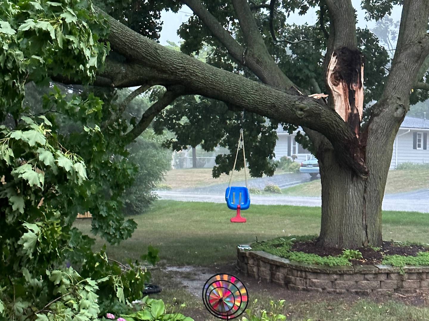 A maple tree missing a branch is in Cheryl Daniel's front yard in McHenry following a storm on July 26, 2023.