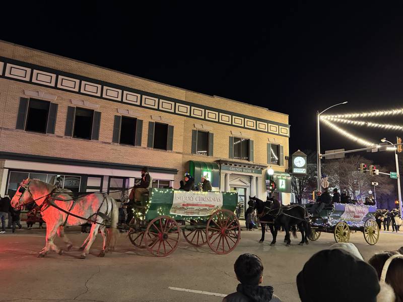 Clydesdale horses pull carriages down Liberty Street during the annual Lighted Holiday Parade on Friday, Nov. 28, 2025.