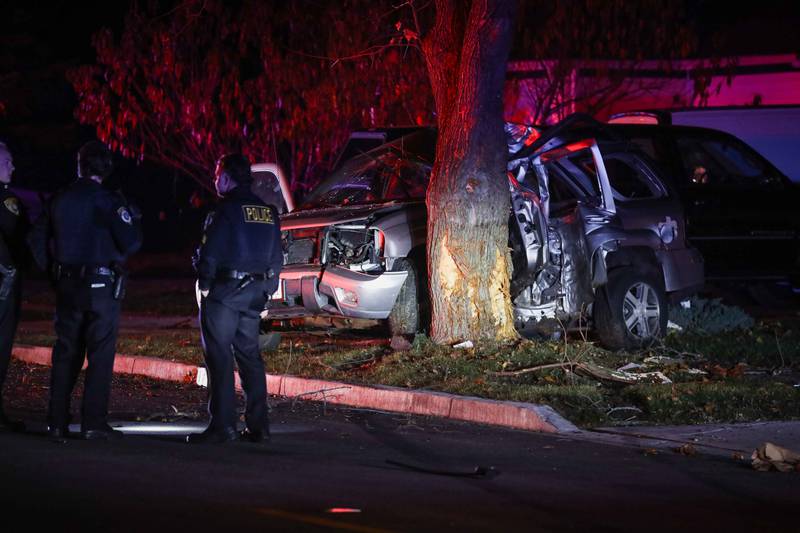 A male driver died after crashing into a tree Sunday night in Woodstock, officials report.