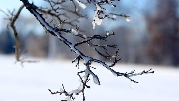 Freezing rain Tuesday night, dangerous snow bursts Wednesday: What to expect
