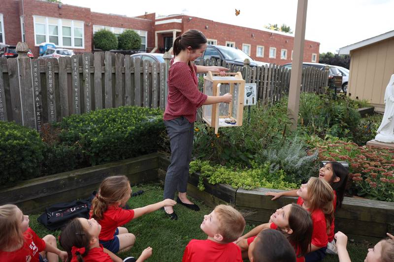 Brianna Gehant, a 1st grade teacher at St. Dennis School, releases the Monarch Butterflies as the 1st and 2nd graders watch. Tuesday, Sept. 13, 2022, in Lockport.