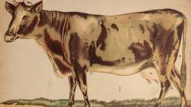 Learn about DeKalb County’s rich agricultural history