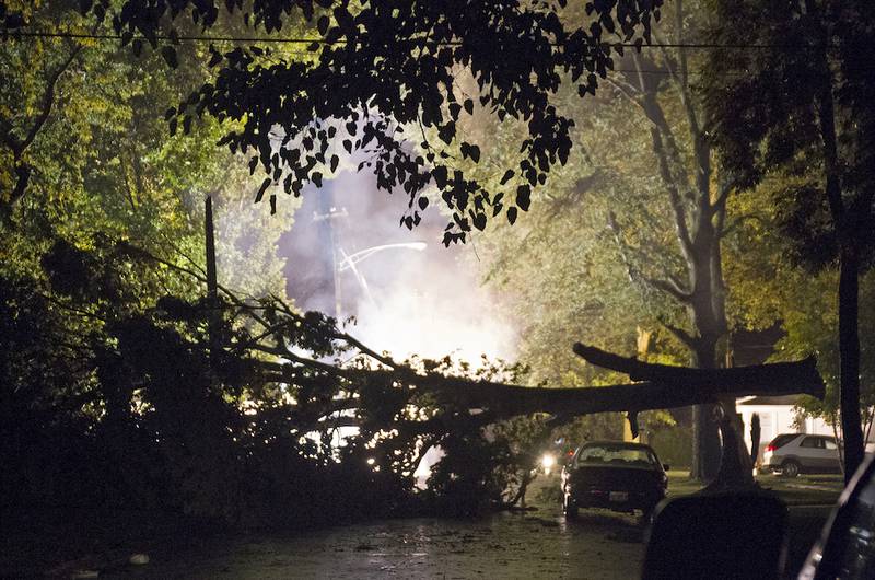 A tree fell Monday night at the corner of Pine and Chapin streets, causing electrical wires to spark and catch fire for a few hours before electricity could be cut to the lines.