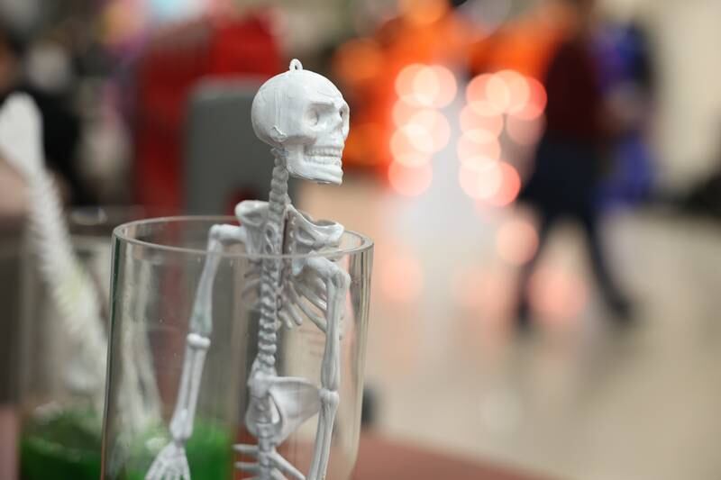 The hall of Lewis University are transformed for the STEAM Spooktacular hosted by the After the Peanut Foundation on Wednesday.