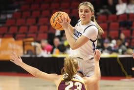 Nazareth’s Stella Sakalas named Illinois Media Class 4A co-Player of the Year