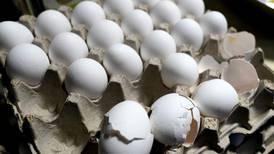 Salmonella outbreak tied to eggs sickens dozens across 7 states including Illinois