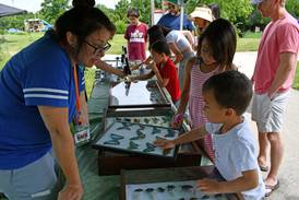 Isle a la Cache in Romeoville to host native plant sale to this weekend