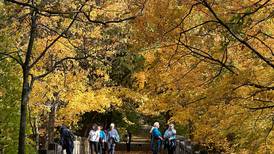 Photos: Fall colors begin to peak in the Illinois Valley