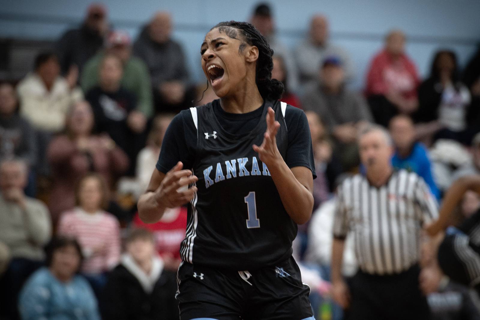 Kankakee roars back to force OT, loses heartbreaker to Ottawa Shaw Local