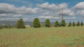 Developers of proposed trio of solar energy farms say residential setback lines could limit profit in DeKalb County
