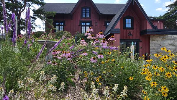 Go green and save big on bills