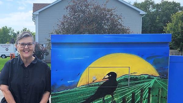 DeKalb artists plug into their creativity with utility box murals
