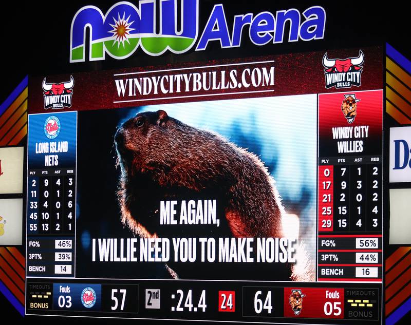Photos Woodstock Willie takes over NOW Arena Shaw Local