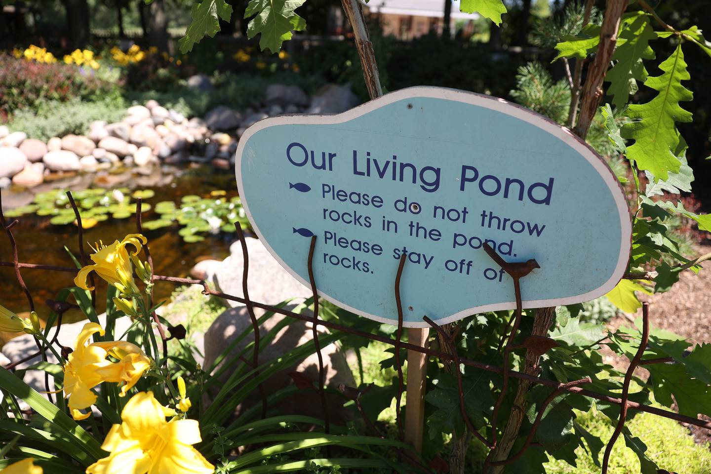 The Children’s Garden in Elwood features a small pond for families to enjoy. The Children’s Garden in Elwood recently celebrated their 25th anniversary. Saturday, July 9, 2022 in Elwood.