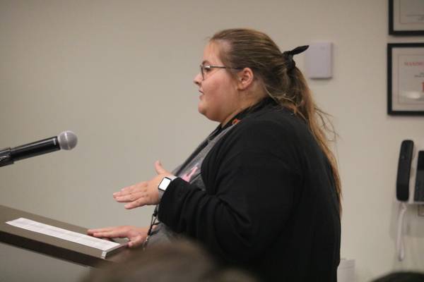DeKalb City Council: No to data center, solar development proposal