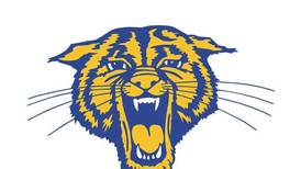 Somonauk uses big 7th inning to top Mendota : The Times Wednesday Roundup