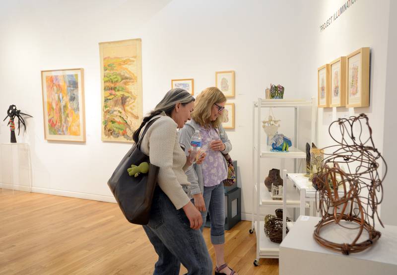 (left) Elena Davydova and Carol Glennon of Elmhurst look over theTeaming with Life exhibit at the Elmhurst Art Museum during Museum Day held Sunday May 15, 2022.