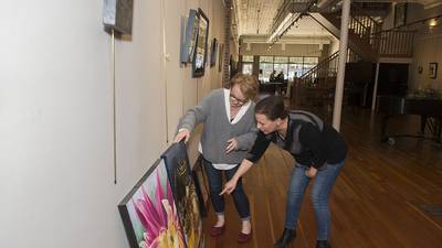 Dixon City Council continues debate over funding for band, art gallery