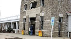 U-46, Sugar Grove Library requests are approved, but Kane County voters reject other ballot measures