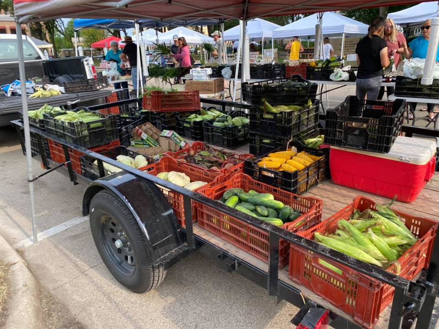 Jeff Hettrick, executive director of the Ottawa Chamber of Commerce, said in past years the Ottawa market averaged 25 vendors. Last year there were 12 vendors, and by the end of the summer, for a variety of reasons, it was down to eight.