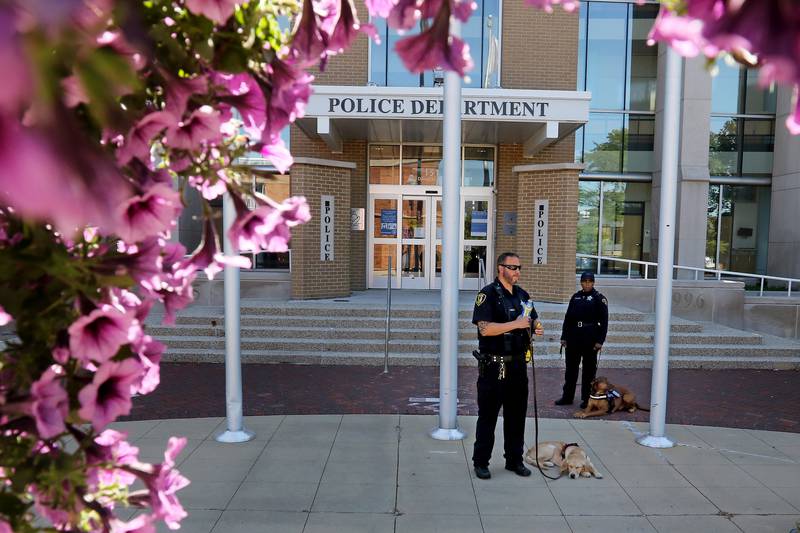 Elgin Police officers and K-9 handlers Craig Arnold, left, and Linda Williamson stand with their dogs during a police therapy dog training session at the Elgin Police Department on Wednesday, June 16, 2021 in Elgin.  Chance, a 5 month old pure bred Golden Retriever in the Elgin Police Department's K-9 therapy dog program under Commander Eric Echevarria, is in the beginning stages of his training as a therapy dog with primary handler officer Craig Arnold and secondary handler officer Linda Williamson.