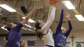 The 2024-25 Sauk Valley Media All-Area Girls Basketball Team