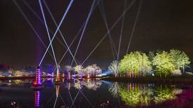 Morton Arboretum in Lisle reimagines Illumination: Tree Lights for anniversary